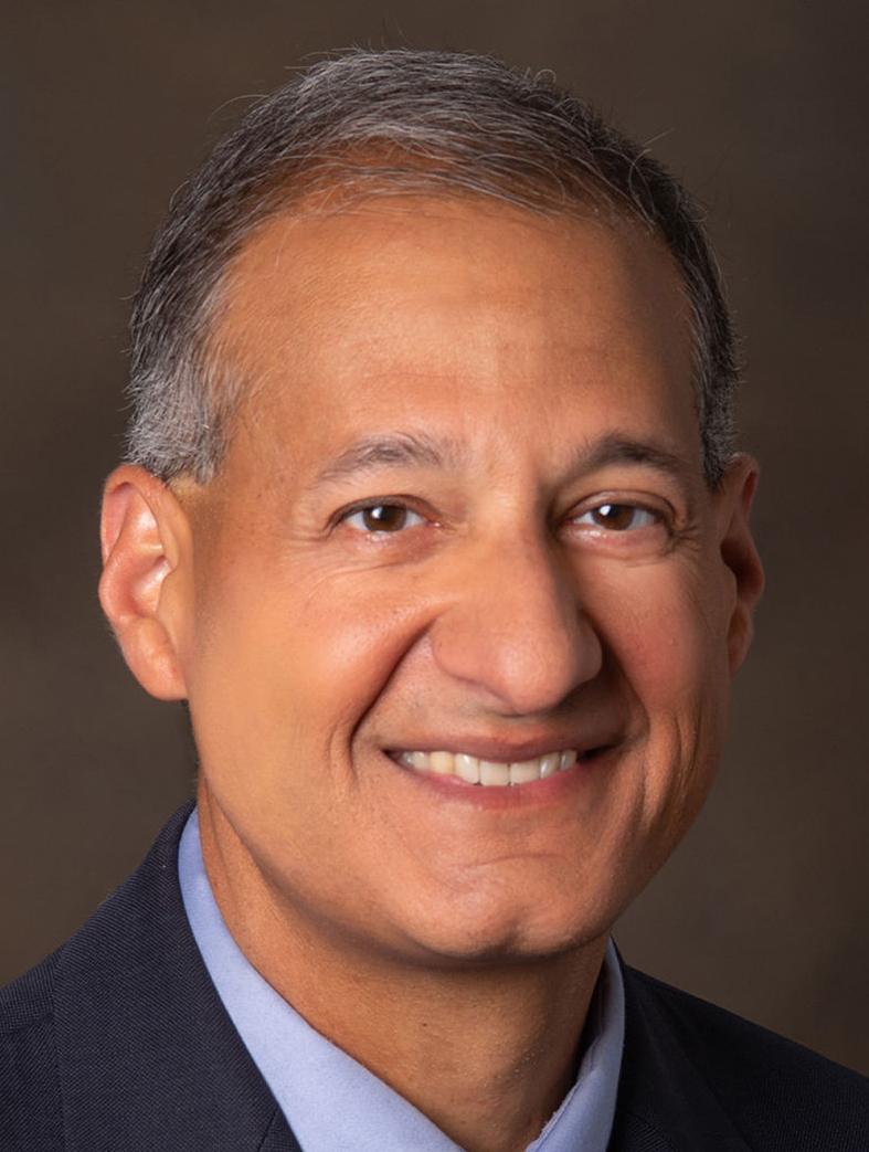 Raj Naik